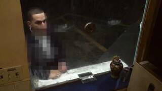 فلم سكس هيفاء وهبي