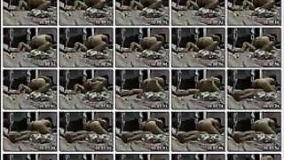 لولا اللبوه المربربه هايجه اوى بنت المتناكه وهيا راكبه ع زبر انور جوزها الكبير