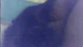 شهد ام دم خفيف مع عشيقها احلى شرمطه واباحه ونياكه شديده من اللى تعجب الزبر