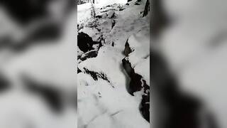 عاهرة إيرانية تمتص الديك في أي طقس